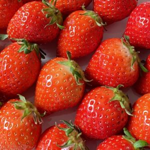 takasaki-strawberry-2