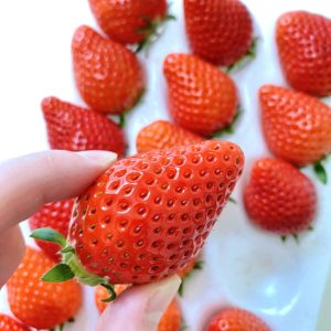 takasaki-strawberry-3
